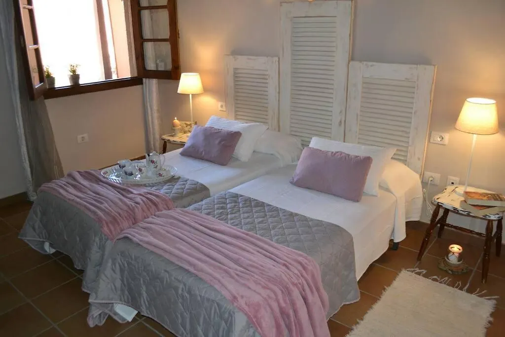 Casa vacanze Villa Casa Mannheim Icod De Los Vinos Spagna